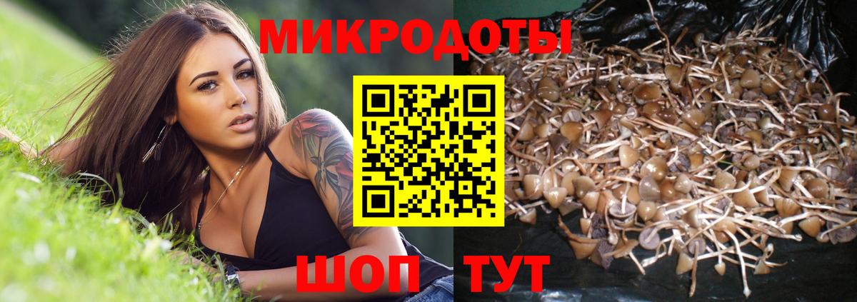 Псилоцибиновые грибы прущие грибы  Галлюциногенные грибы мухоморы  Саратов  Вход с VPN 